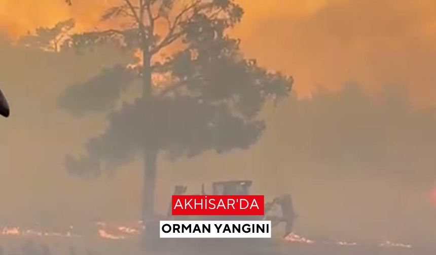 Akhisar'da orman yangını