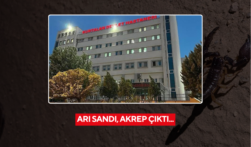 Arı sandı akrep çıktı... Evinin önünde akrep soktu