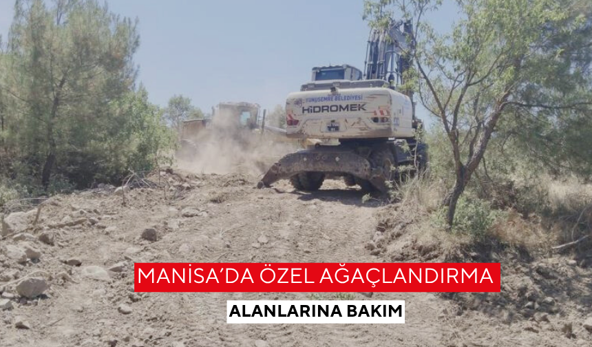 Manisa’da özel ağaçlandırma alanlarına bakım