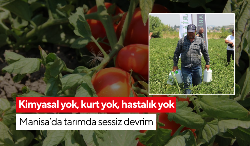 'Ne biz zehirleniyoruz ne tüketici!' | Manisalı çiftçinin yeni umudu...