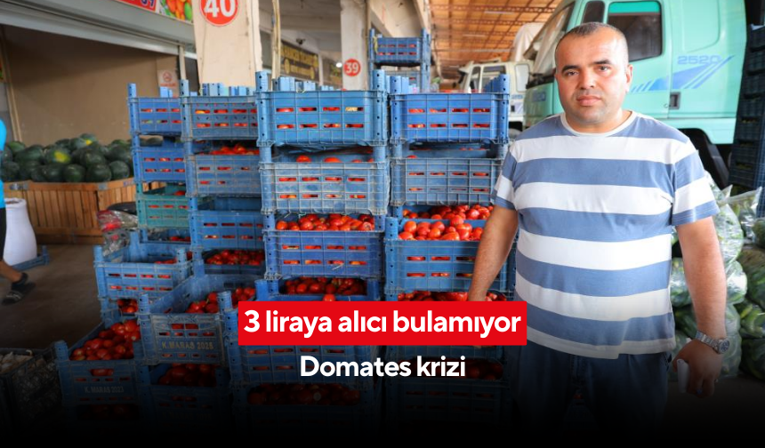 Domates 3 liraya kadar düştü... Salçalık domatese ilgi yok, esnaf dertli... 'Suyu akıp gitti, döktük'