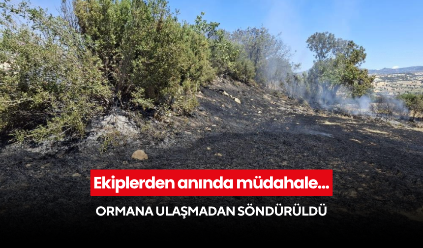 Ekiplerden anında müdahale...Ormana ulaşmadan söndürüldü