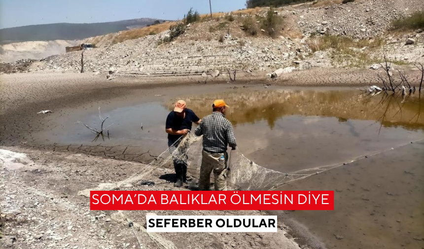 Soma’da balıklar ölmesin diye seferber oldular