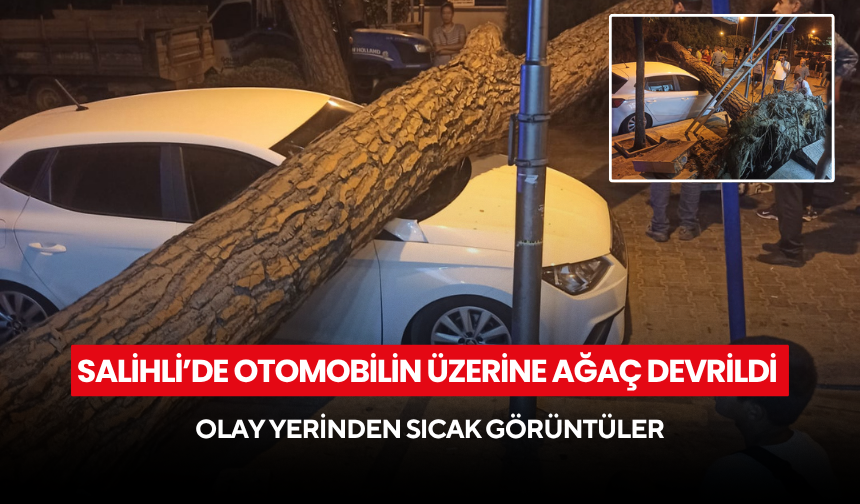 Son dakika… Salihli’de otomobilin üzerine ağaç devrildi ! Olay yerinden sıcak görüntüler