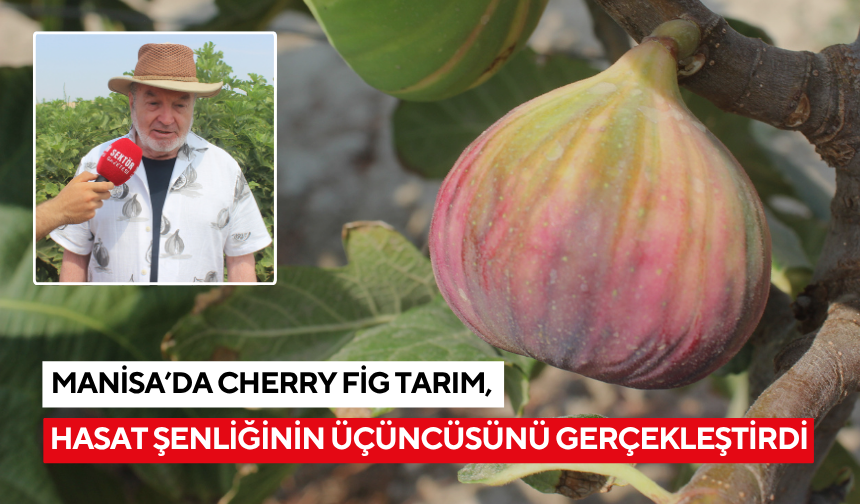 Cherry Fig Tarım, Manisa’da çiftçi dostlarını hasat şöleninde ağırladı