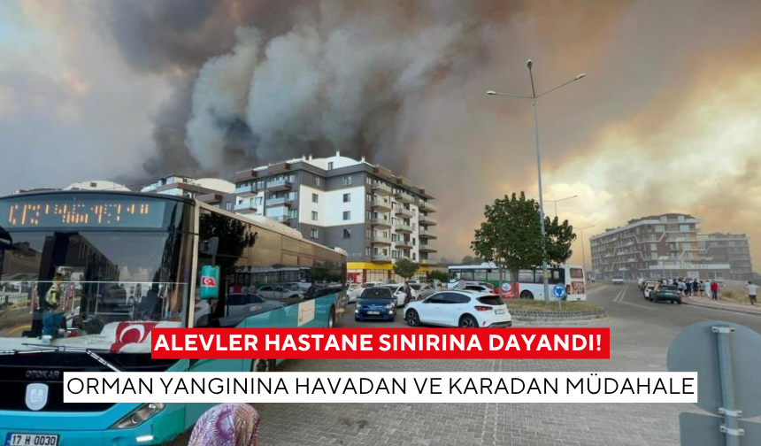 Alevler hastane sınırına dayandı ! Orman yangınına havadan ve karadan müdahale