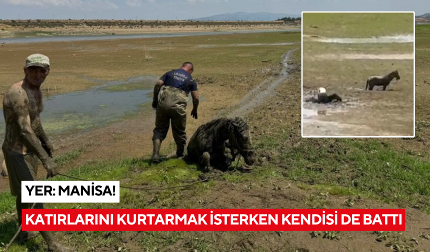 Katırlarını kurtarmak isterken kendisi de battı