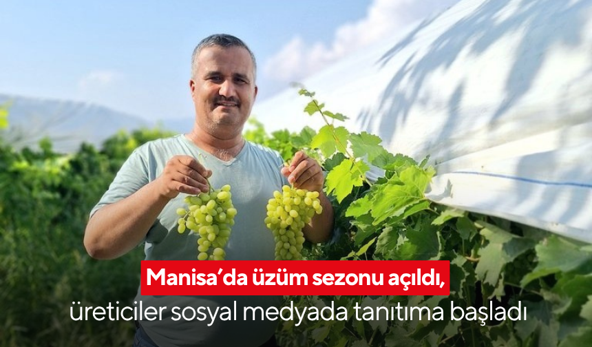 Manisa’da üzüm sezonu açıldı, üreticiler sosyal medyada tanıtıma başladı