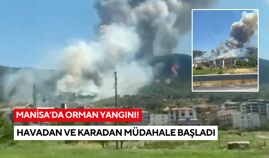 Manisa'da orman yangını! Havadan ve karadan müdahale başladı