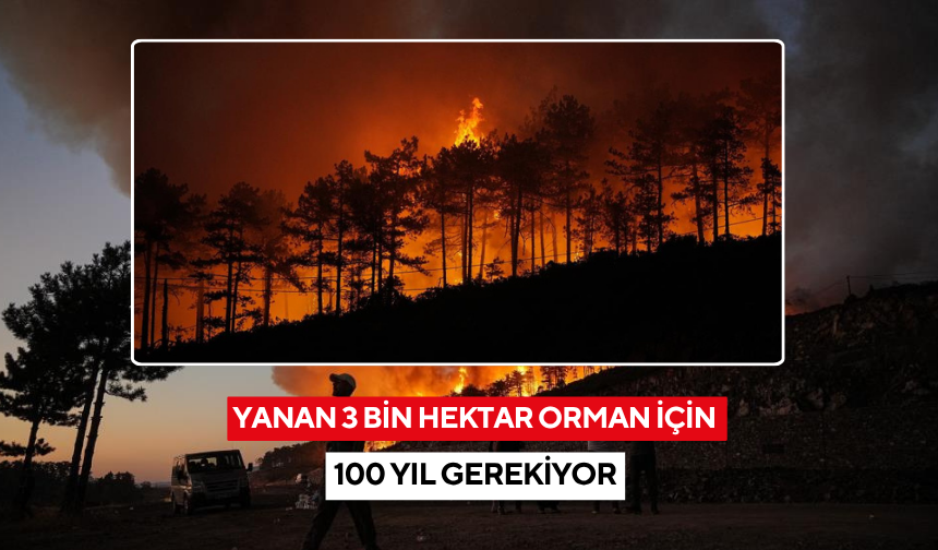 Yanan 3 bin hektar orman için 100 yıl gerekiyor