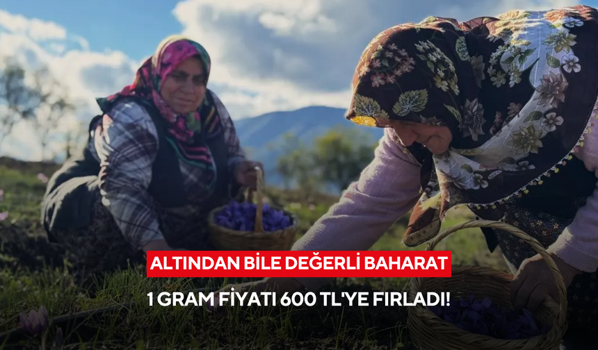 Altından bile değerli baharat: 1 gram fiyatı 600 TL'ye fırladı!