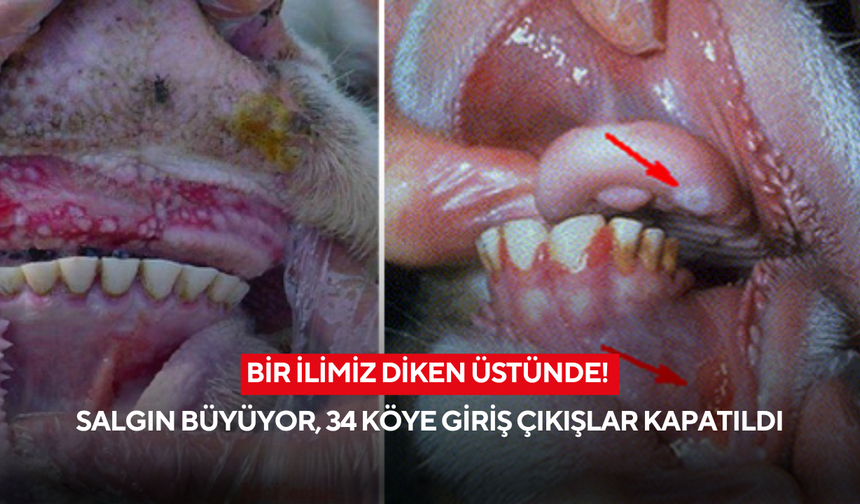 Bir ilimiz diken üstünde! Salgın büyüyor, 34 köye giriş çıkışlar kapatıldı