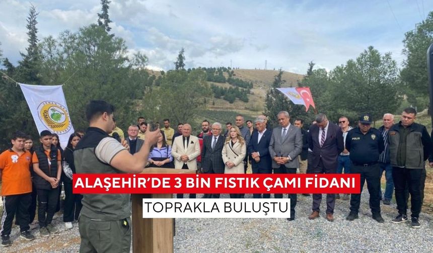 Alaşehir’de 3 bin fıstık çamı fidanı toprakla buluştu
