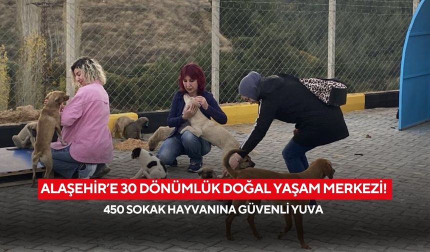 Alaşehir’e 30 dönümlük doğal yaşam merkezi! 450 sokak hayvanına güvenli yuva