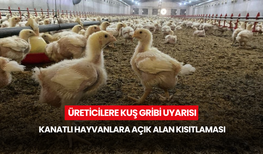 Üreticilere kuş gribi uyarısı... Kanatlı hayvanlara açık alan kısıtlaması
