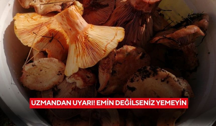 Uzmandan uyarı! Emin değilseniz yemeyin