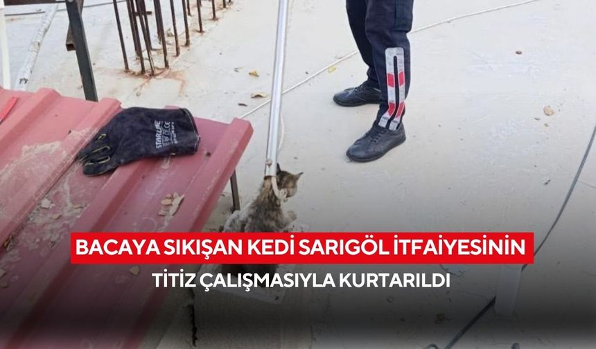 Bacaya sıkışan kedi Sarıgöl İtfaiyesinin titiz çalışmasıyla kurtarıldı