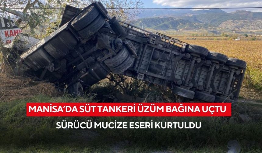 Salihli-Denizli yolunda süt tankeri üzüm bağına uçtu: Sürücü mucize eseri kurtuldu