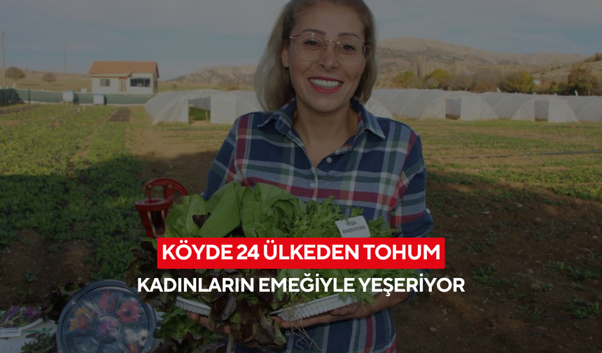 Köyden dünyaya... 24 ülkenin tohumları kadın kooperatifiyle can buluyor