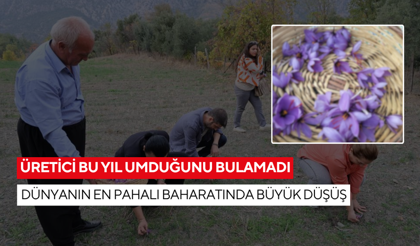 Üretim azaldı, fiyat uçtu! Dünyanın en pahalı baharatında büyük düşüş...