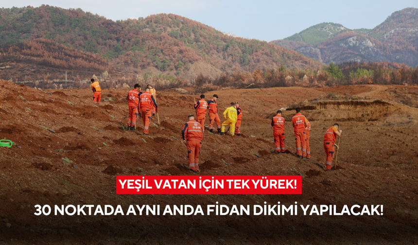 Yeşil Vatan için tek yürek! 30 noktada aynı anda fidan dikimi yapılacak!