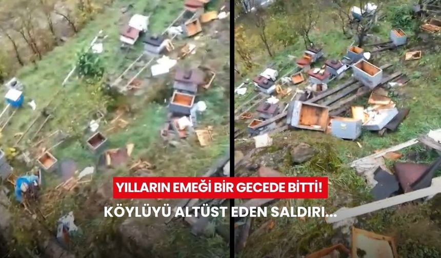 Yılların emeği bir gecede bitti! Köylüyü altüst eden saldırı...