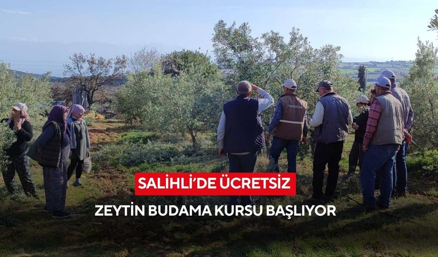 Salihli’de zeytin ağaçları için doğru budama eğitimi başlıyor