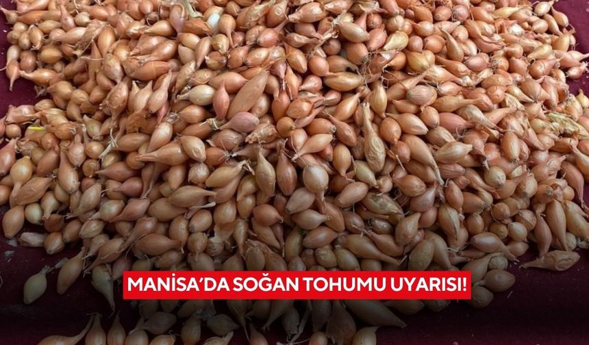 Manisa'da soğan tohumu uyarısı!