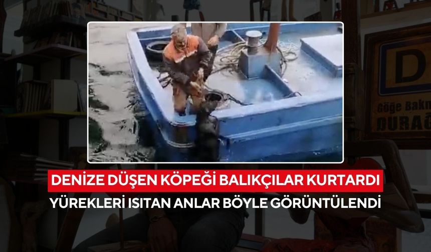 Açıklara sürüklenen minik can, balıkçıların şefkatiyle hayata tutundu...