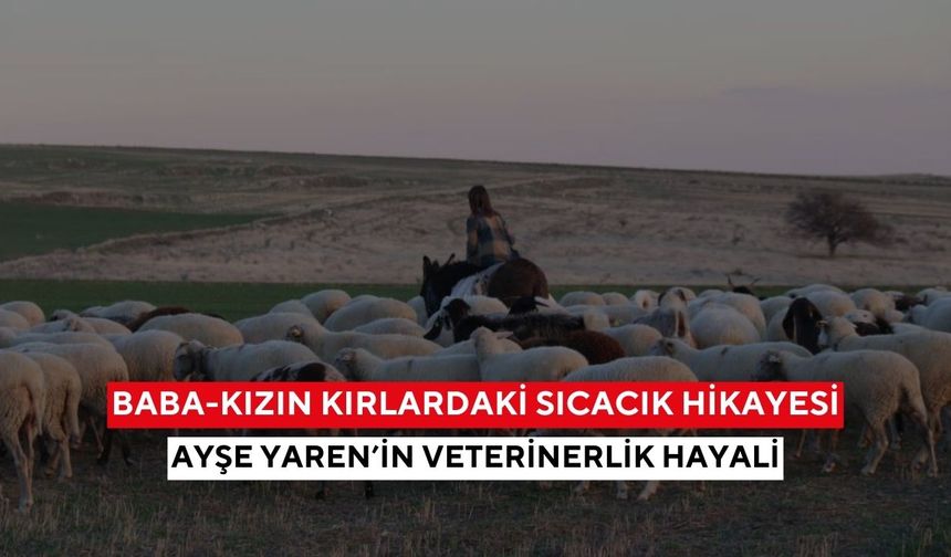 Hayvan sevgisiyle büyüyen minik çoban... Ayşe Yaren’in yüreklere dokunan mücadelesi