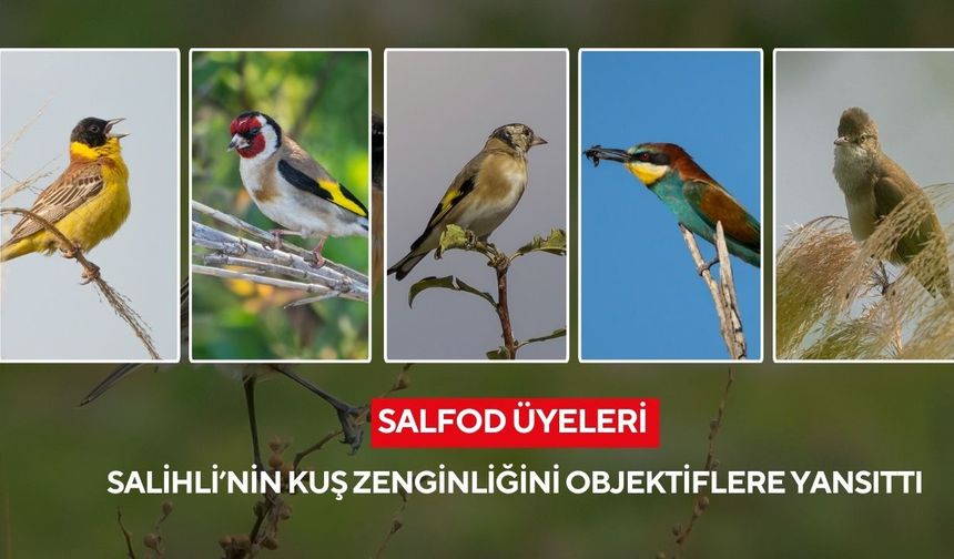 SALFOD, Salihli’nin kuş cenneti doğasını görüntüledi