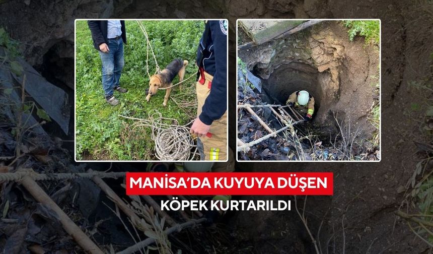 Manisa’da kuyuya düşen köpek kurtarıldı