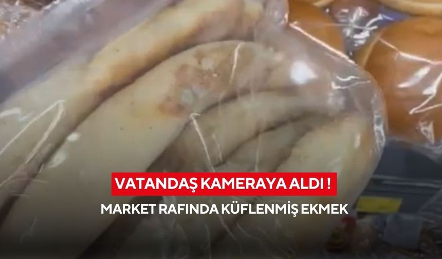 Vatandaş kameraya aldı! Market rafında küflenmiş ekmek