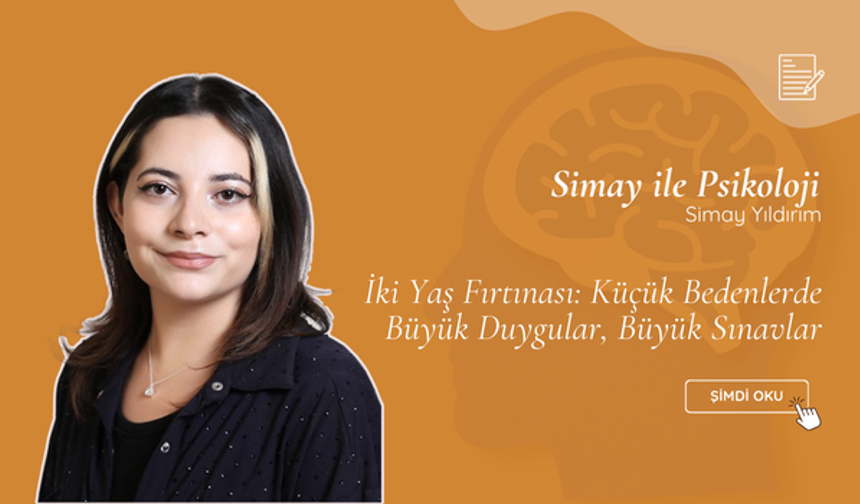 İki Yaş Fırtınası: Küçük Bedenlerde Büyük Duygular, Büyük Sınavlar