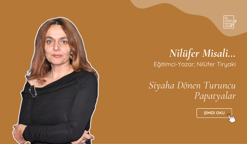 Siyaha Dönen Turuncu Papatyalar