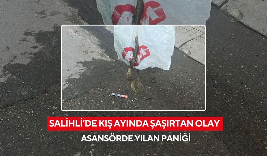 Salihli’de kış ayında şaşırtan olay: Asansörde yılan paniği