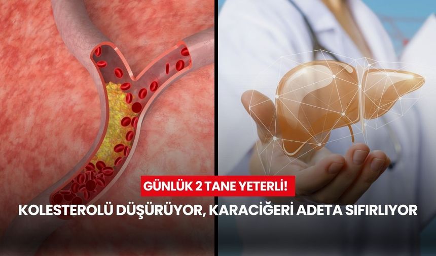 Günde sadece 2 tane! Kolesterolü düşürüyor, karaciğeri adeta sıfırlıyor