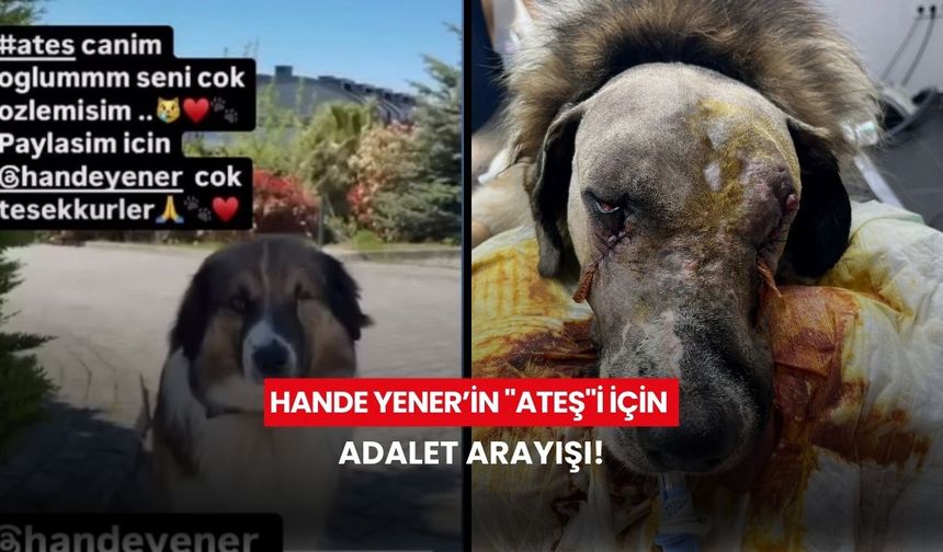 Hande Yener’in "Ateş"i için adalet arayışı!