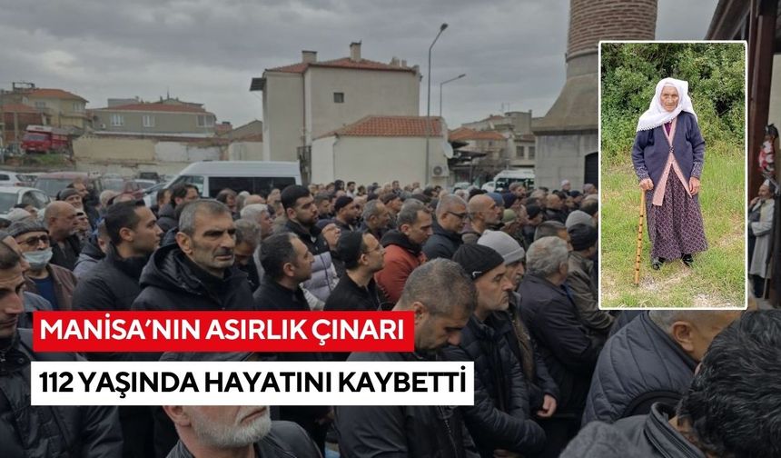 Manisa’nın asırlık çınarı 112 yaşında hayatını kaybetti