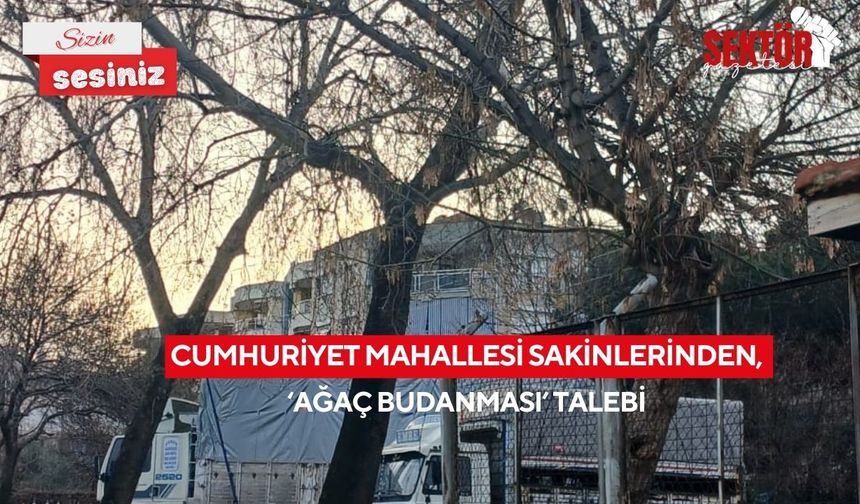 Cumhuriyet Mahallesi sakinlerinden, ‘Ağaç budanması’ talebi