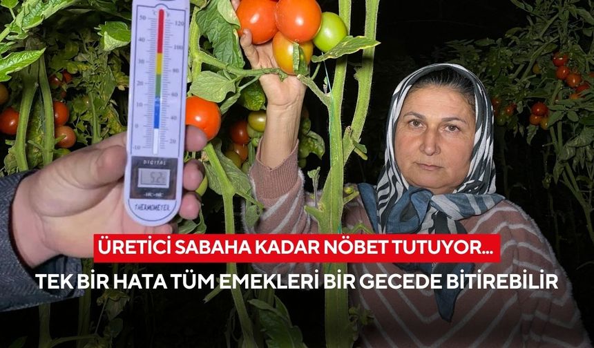 Üretici sabaha kadar nöbet tutuyor... Tek bir hata tüm emekleri bir gecede bitirebilir