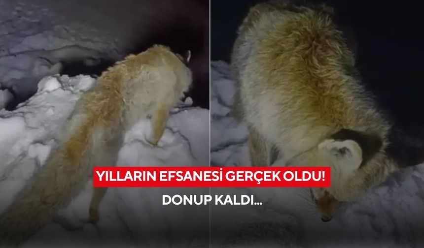 Yılların efsanesi gerçek oldu! Donup kaldı...