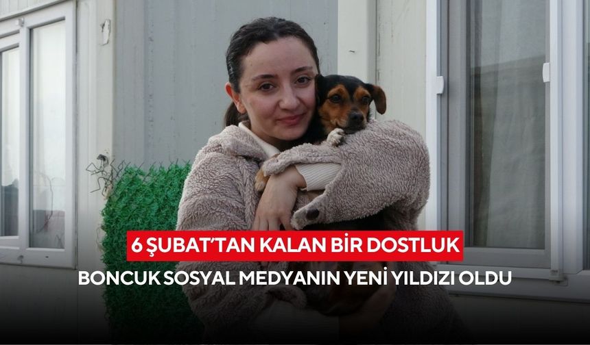 6 Şubat’tan kalan bir dostluk: Boncuk sosyal medyanın yeni yıldızı oldu