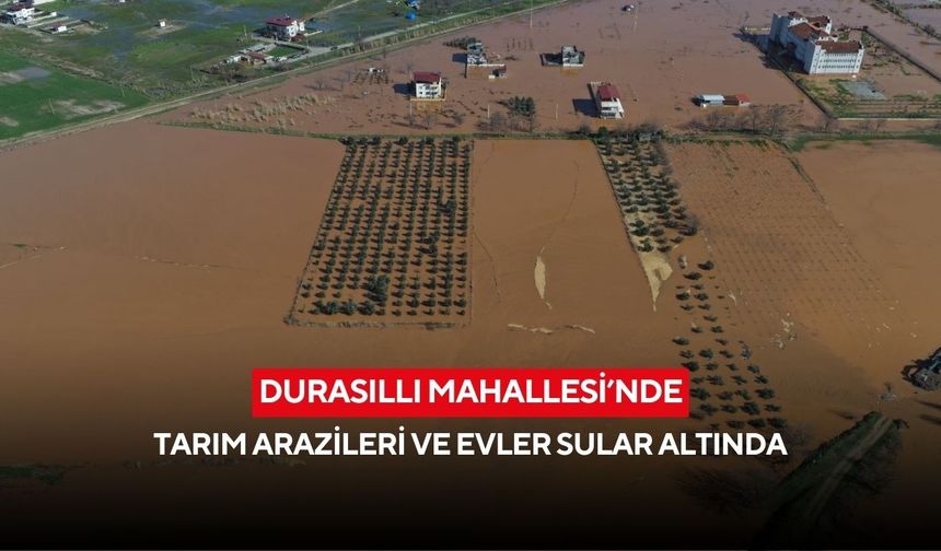 Durasıllı Mahallesi’nde tarım arazileri ve evler sular altında