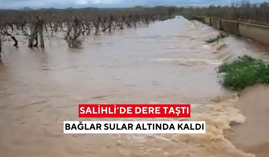 Salihli’de dere taştı, bağlar sular altında kaldı
