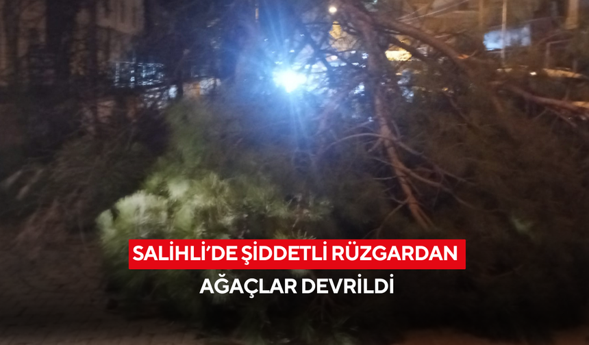 Salihli’de şiddetli rüzgârdan ağaçlar devrildi