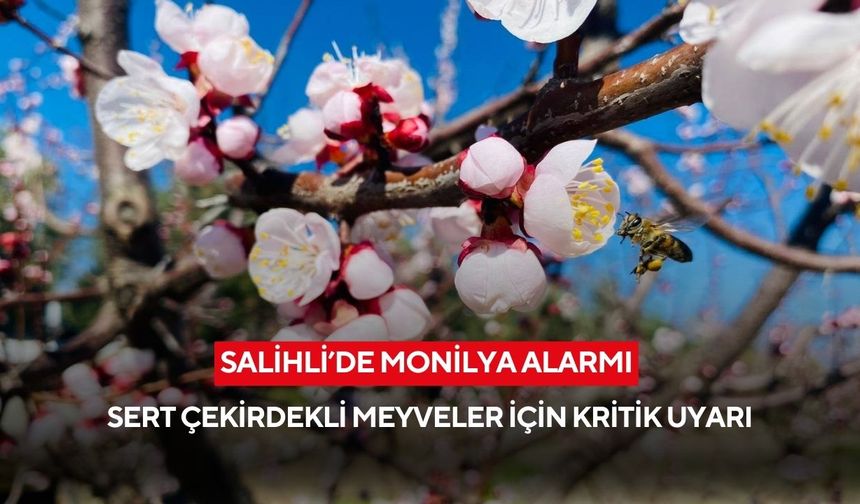 Salihli’de sert çekirdekli meyveler için monilya uyarısı