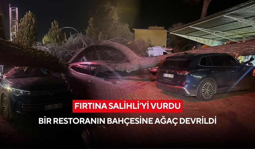 Fırtına Salihli’yi vurdu! Salihli'de bir restoranın bahçesine ağaç devrildi