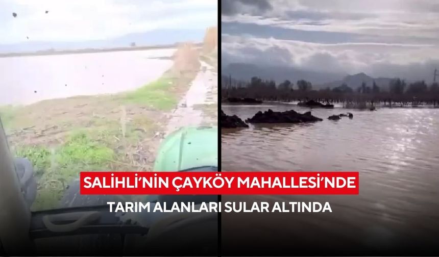 Salihli’nin Çayköy Mahallesi’nde tarım alanları sular altında