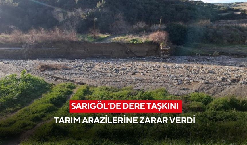 Sarıgöl’de dere taşkını tarım arazilerine zarar verdi